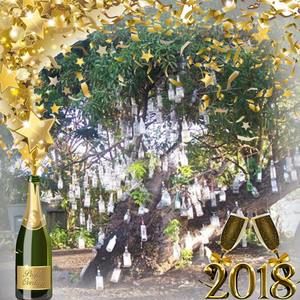 Meet your Posher, Manon